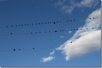 Lake Chelan camping Labour Day 2010 2010-09-05 046